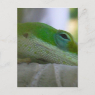 Cartão Postal Green Anole Lizard