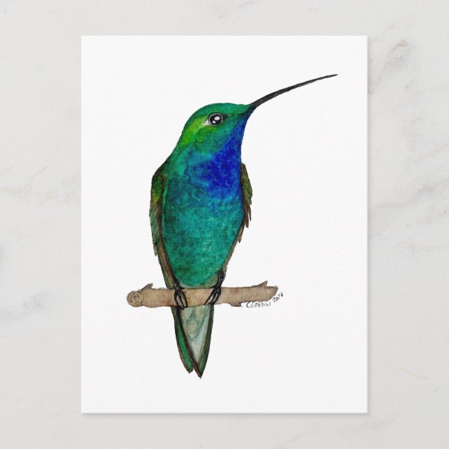 Cartão Postal Green-backed Hillstar Hummingbird (Frente)