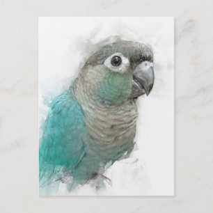 Cartão postal Green Conure n.o 3