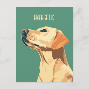 Cartão Postal Green Labrador Retriever