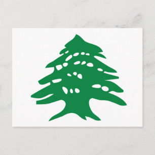 Cartão Postal Green Lebanon Cedar Tree