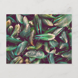Cartão Postal Green Mussels