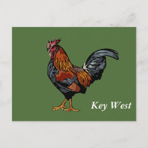 Cartão Postal Green Rooster Key West Posta Card