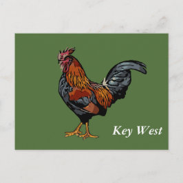 Cartão Postal Green Rooster Key West Posta Card