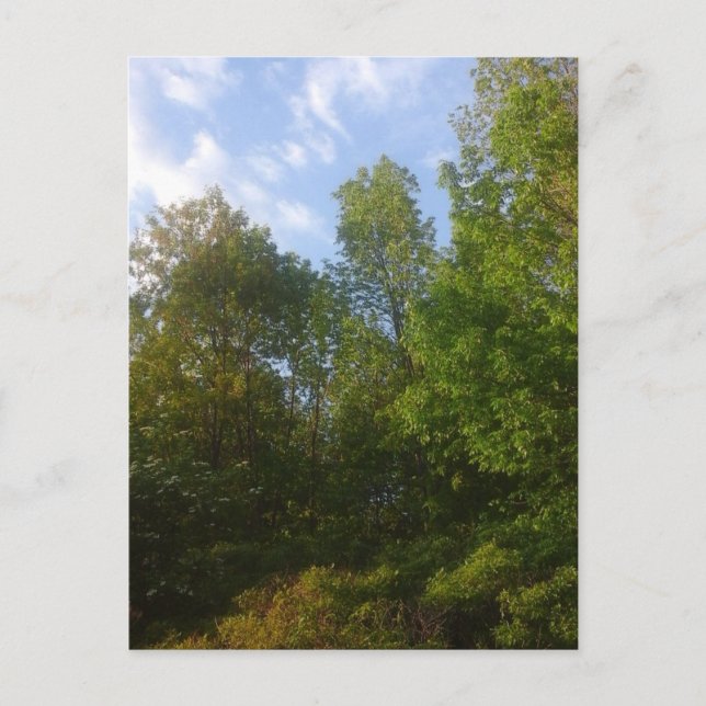 Cartão Postal Greenery (Frente)