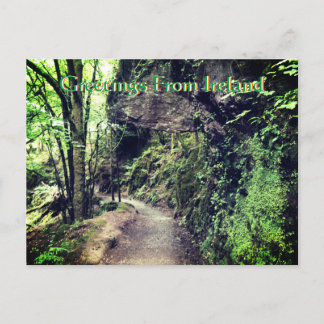 Cartão Postal Greetings From Ireland Postcard