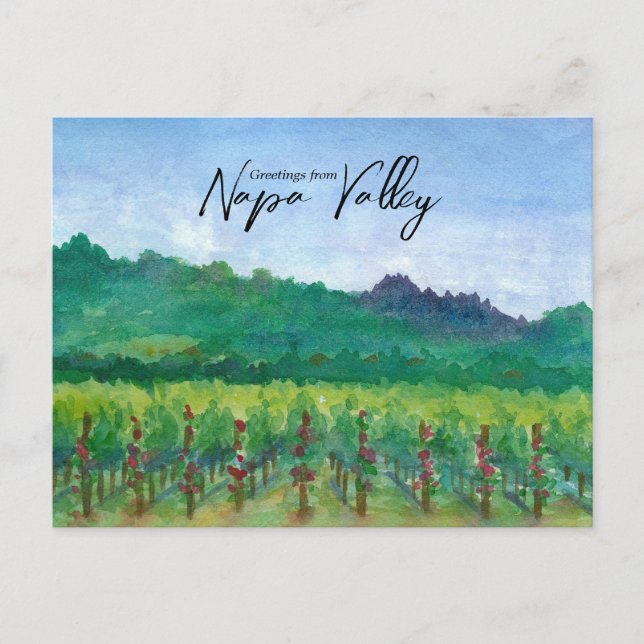 Cartão Postal Greetings From Napa Valley Vineyard Red Roses  (Frente)