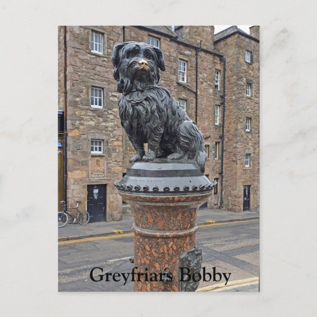 Cartão Postal Greyfriars Bobby (Frente)