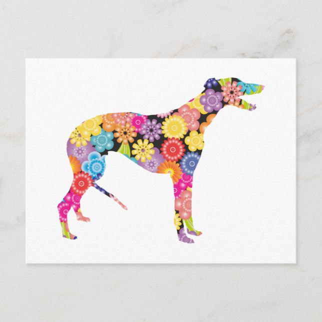 Cartão Postal Greyhound (Frente)