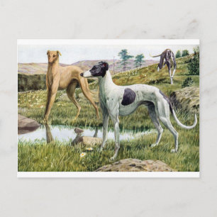 Cartão Postal Greyhound