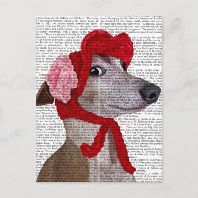 Cartão Postal Greyhound com Red Wooly Hat 2 (Frente)