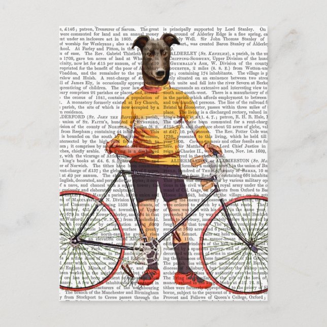 Cartão Postal Greyhound Cyclist (Frente)