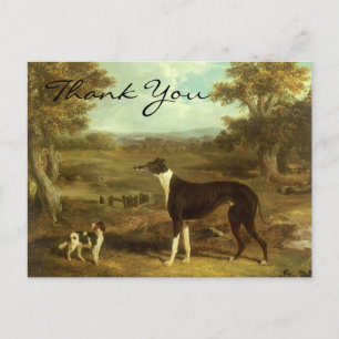 Cartão Postal Greyhound e Spaniel de Herring; Doutor Fop