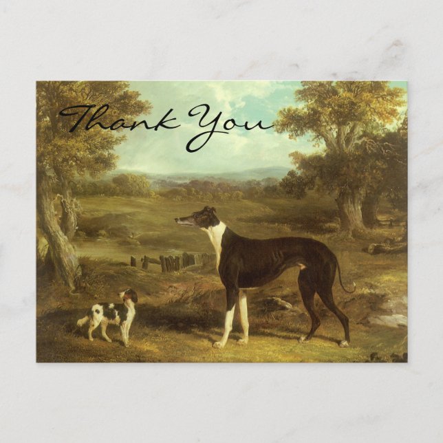 Cartão Postal Greyhound e Spaniel de Herring; Doutor Fop (Frente)