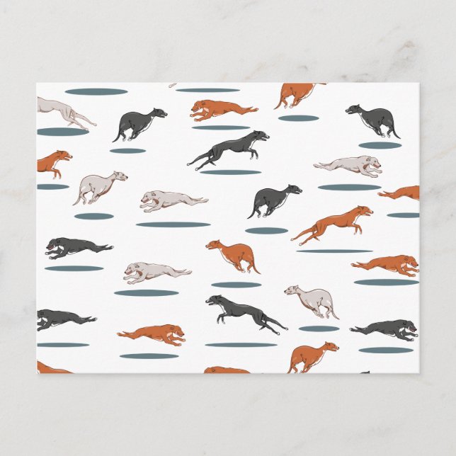 Cartão Postal Greyhound Pattern (Frente)