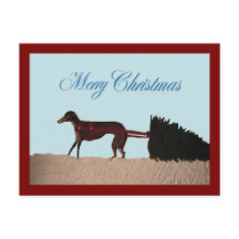 Greyhound puxando uma árvore de Natal pela neve