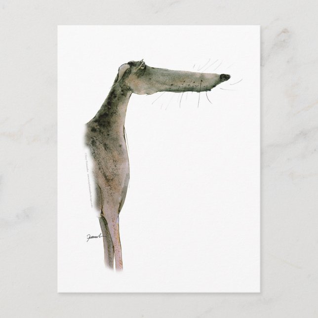 Cartão Postal Greyhound, tony fernandes (Frente)