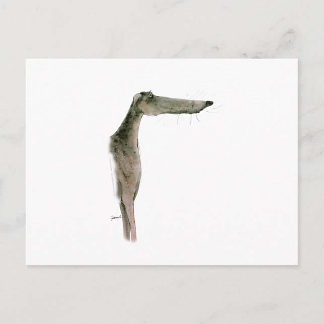 Cartão Postal Greyhound, tony fernandes (Frente)