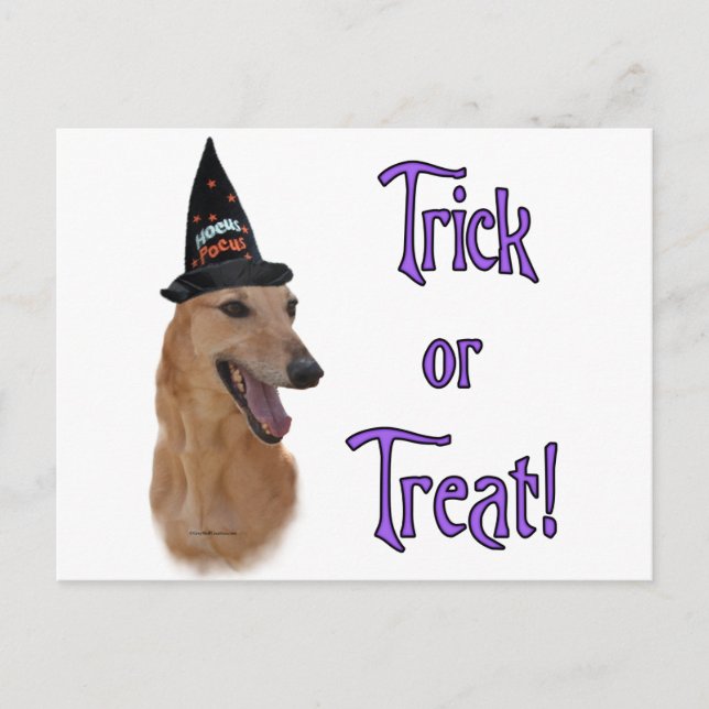 Cartão Postal Greyhound (vermelho) (Frente)