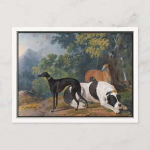 Cartão Postal Greyhounds e Mastiff por Sawrey Gilpin