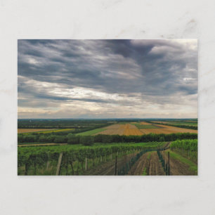 Cartão postal "Griffin"