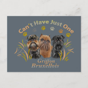 Cartão Postal Griffon Bruxelas não pode ter apenas um