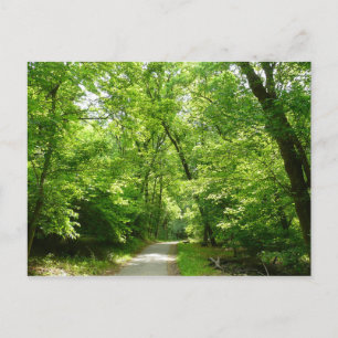 Cartão Postal Grist Mill Trail I