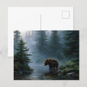 Cartão Postal Grizzly Bear Misty Forest