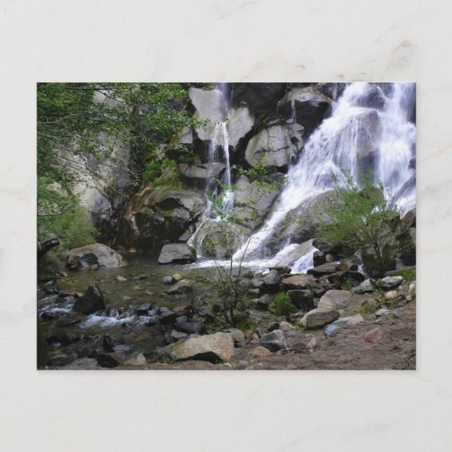 Cartão Postal Grizzly Falls, Parque Nacional do Canyon do Rei, C (Frente)