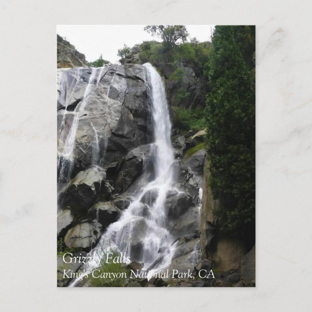 Cartão Postal Grizzly Falls, Parque Nacional do Canyon do Rei, C (Frente)
