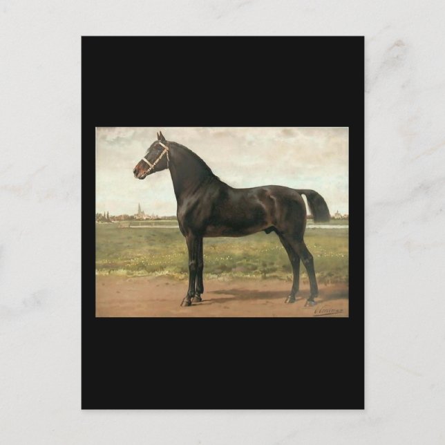 Cartão Postal Groningen by Otto Eerelman (Frente)