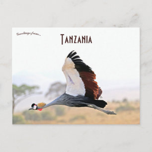 Cartão Postal Grou-Coronado na Tanzânia 