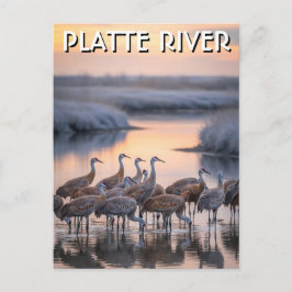 Cartão Postal Gruas-da-areia do Rio Platte Viagem Nebraska