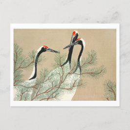 Cartão Postal Gruas de Momoyogusa
