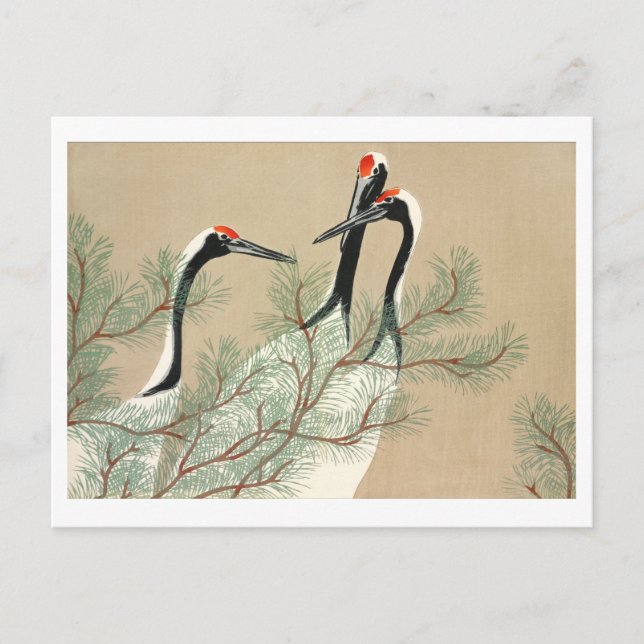 Cartão Postal Gruas de Momoyogusa (Frente)