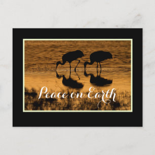 Cartão Postal Gruas e Paz na Terra com fronteira