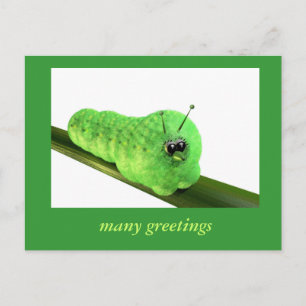 Cartão Postal Grüne Raupe