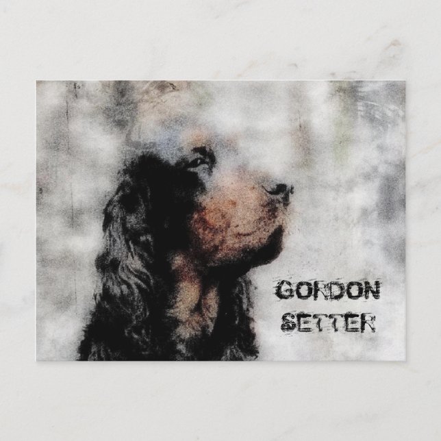 Cartão postal Grunge do Setter Gordon (Frente)