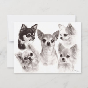 Cartão Postal Grupo dos Cinco Chihuahuas - Trabalho de arte pint