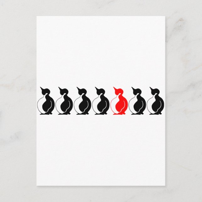 Cartão Postal Grupo Round Penguin (Frente)