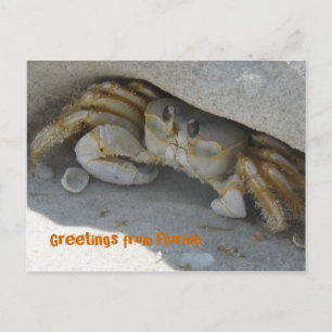 Cartão Postal Grüße aus Florida Grußkarte Postkarte