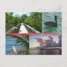 Cartão Postal Grüße aus Florida Grußkarte Postkarte