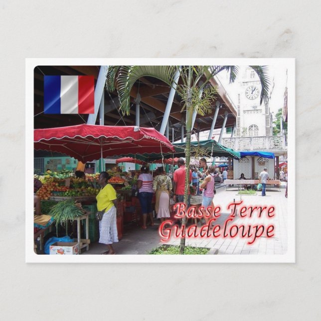 Cartão Postal Guadalupe - Basse Terre - (Frente)