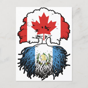 Cartão Postal Guatemala: Guatemala, Canadá, raízes de árvores