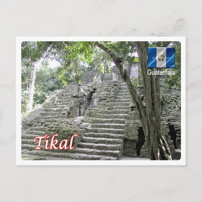 Cartão Postal Guatemala - Tikal - (Frente)