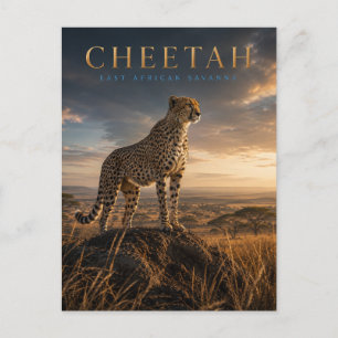 Cartão Postal Guepardo Savana da África Oriental ANIMAIS