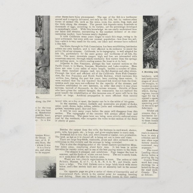 Cartão Postal Guerneville, Califórnia (Frente)