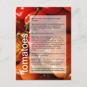 Cartão Postal Guia de crescimento correto: Tomates e alho