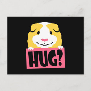 Cartão Postal Guiné Pig Hug Cavy Suíno Engraçado Animais