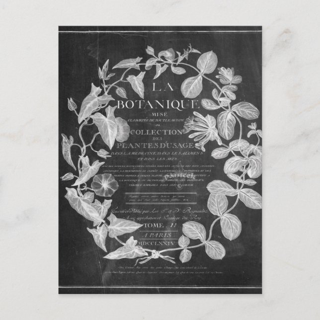 Cartão Postal guiões de quadros em forma de chalkboard folhas de (Frente)